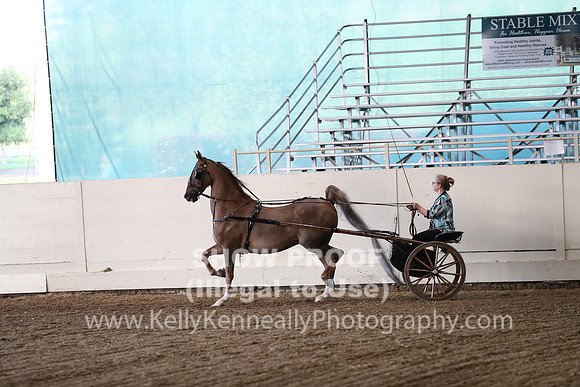 CA_Springfest19_ThursPM_8951