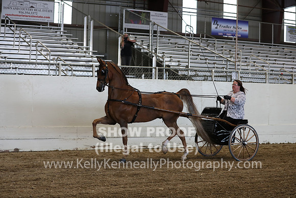 CA_Springfest19_ThursPM_8952