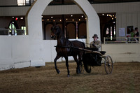 CA_Springfest19_ThursPM_8954
