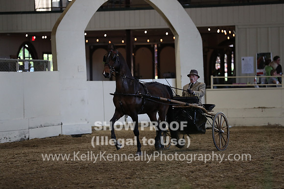 CA_Springfest19_ThursPM_8954