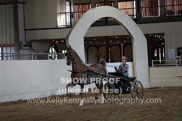 CA_Springfest19_ThursPM_8955