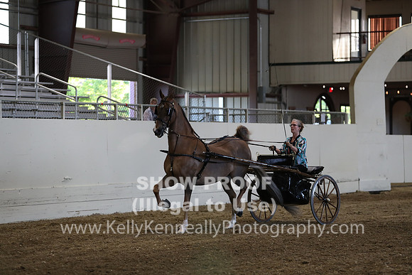 CA_Springfest19_ThursPM_8956