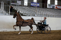 CA_Springfest19_ThursPM_8957