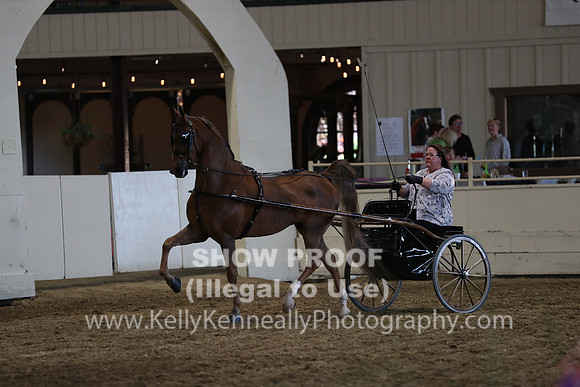 CA_Springfest19_ThursPM_8958