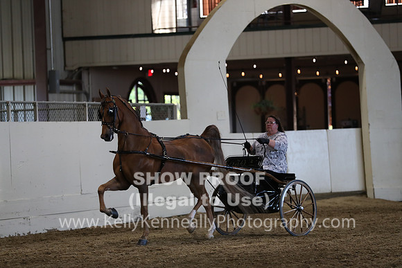 CA_Springfest19_ThursPM_8959