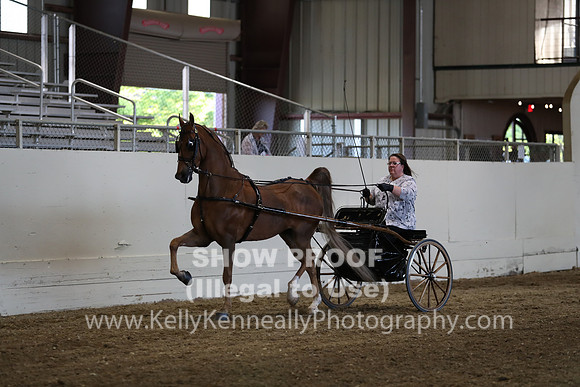 CA_Springfest19_ThursPM_8960