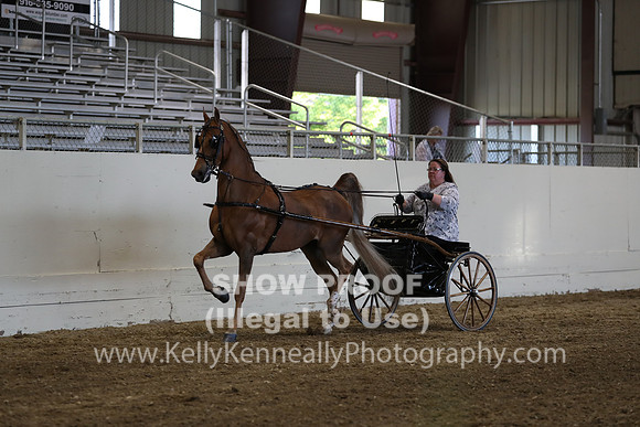 CA_Springfest19_ThursPM_8961