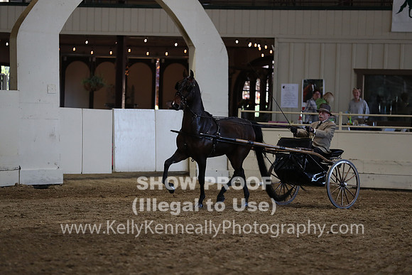 CA_Springfest19_ThursPM_8962