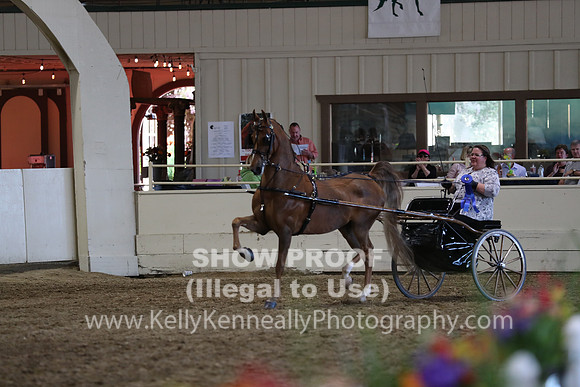 CA_Springfest19_ThursPM_8964