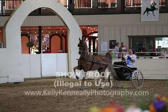 CA_Springfest19_ThursPM_8965