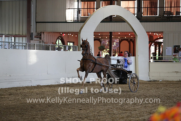 CA_Springfest19_ThursPM_8966