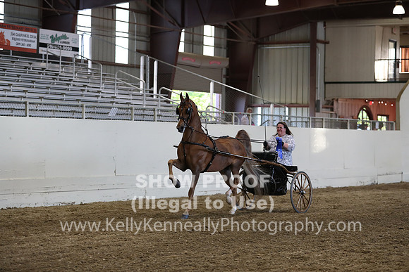 CA_Springfest19_ThursPM_8968