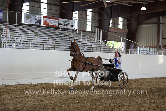 CA_Springfest19_ThursPM_8969