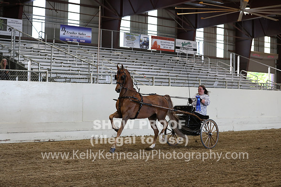 CA_Springfest19_ThursPM_8970
