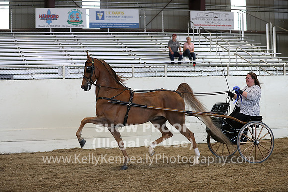 CA_Springfest19_ThursPM_8972