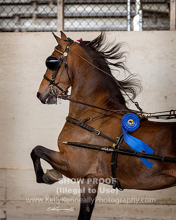 CA_Springfest19_ThursPM_8247
