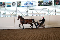 CA_Springfest19_FriAM_9011
