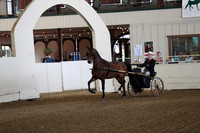 CA_Springfest19_FriAM_9014