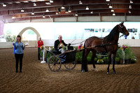 CA_Springfest19_FriAM_9018