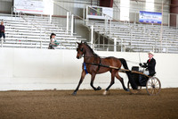 CA_Springfest19_FriAM_9020