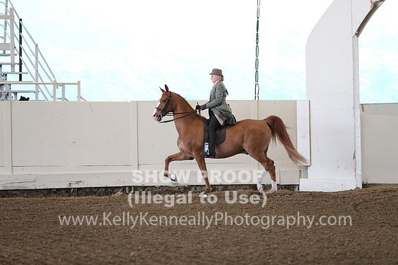 CA_Springfest19_FriAM_9025