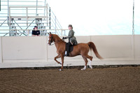 CA_Springfest19_FriAM_9026