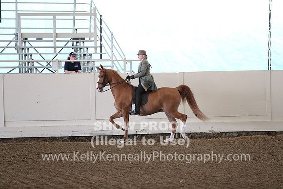 CA_Springfest19_FriAM_9026