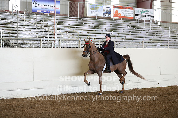 CA_Springfest19_FriAM_9031
