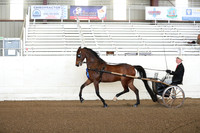 CA_Springfest19_FriAM_9021