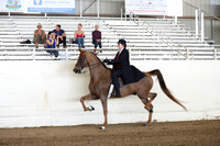 CA_Springfest19_FriAM_9033