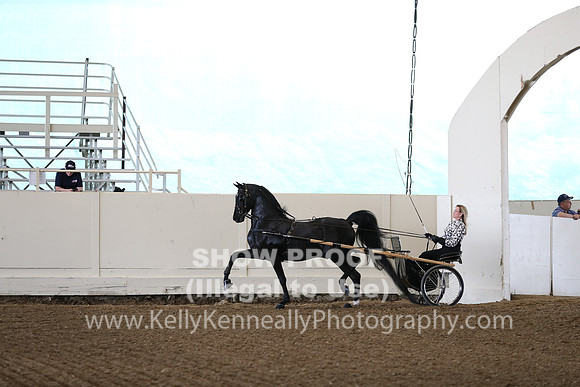 CA_Springfest19_FriAM_9084