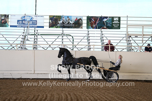 CA_Springfest19_FriAM_9086