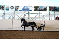 CA_Springfest19_FriAM_9087