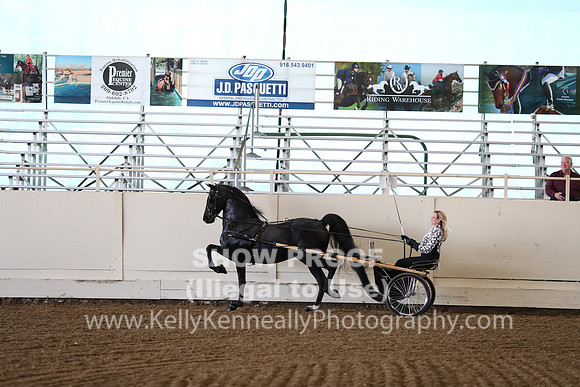 CA_Springfest19_FriAM_9087