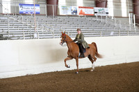 CA_Springfest19_FriAM_9035