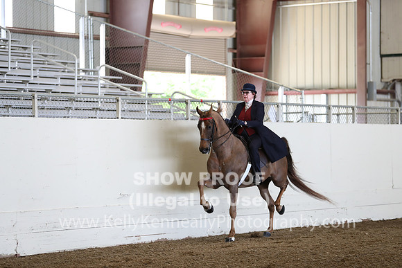 CA_Springfest19_FriAM_9040