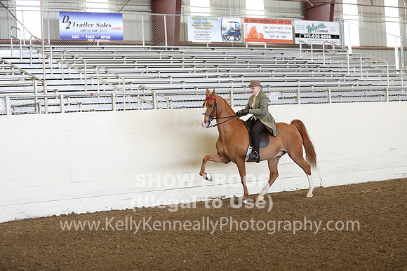 CA_Springfest19_FriAM_9041
