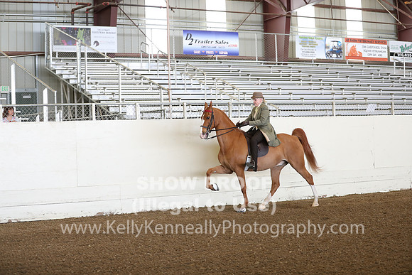 CA_Springfest19_FriAM_9042
