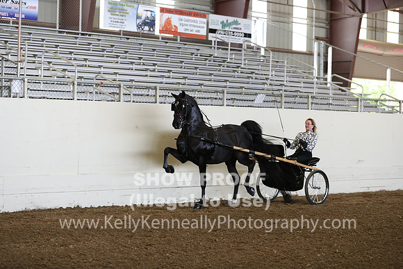 CA_Springfest19_FriAM_9093