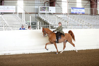 CA_Springfest19_FriAM_9043