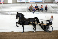 CA_Springfest19_FriAM_9095