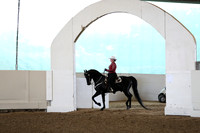 Class 25 Opportunity Western Pleasure Open
