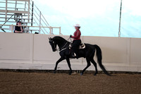 CA_Springfest19_FriAM_9115