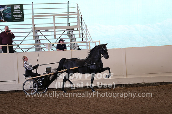 CA_Springfest19_FriAM_9096