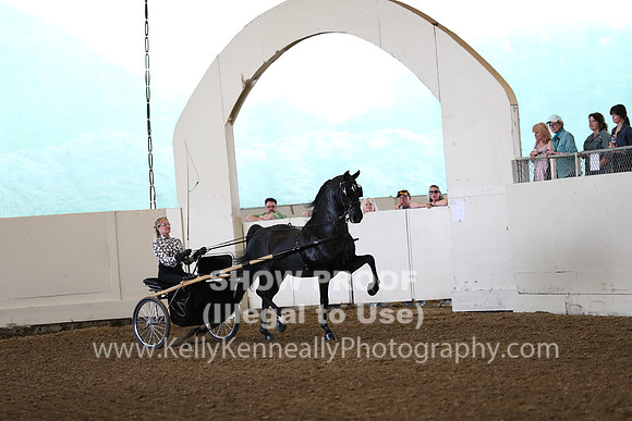 CA_Springfest19_FriAM_9097