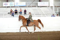 CA_Springfest19_FriAM_9044