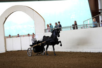 CA_Springfest19_FriAM_9098