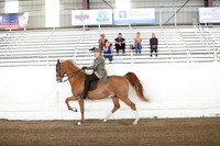CA_Springfest19_FriAM_9045