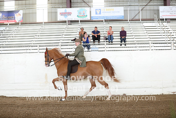 CA_Springfest19_FriAM_9045