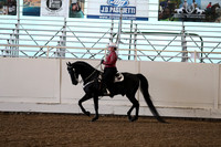 CA_Springfest19_FriAM_9118